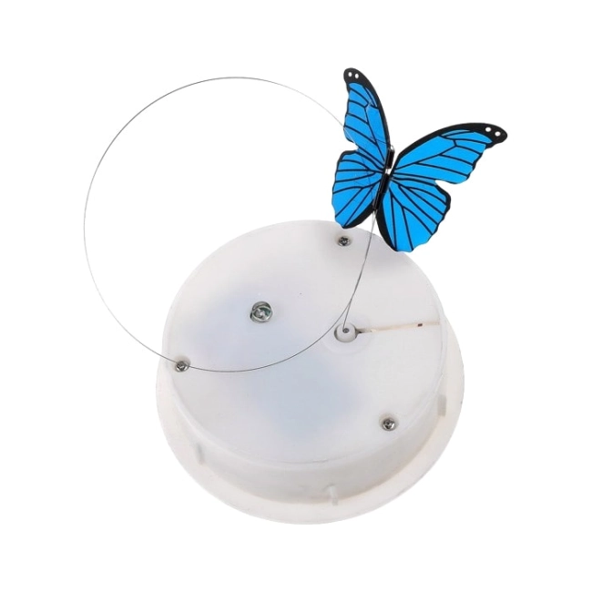 Декоративная бабочка в банке