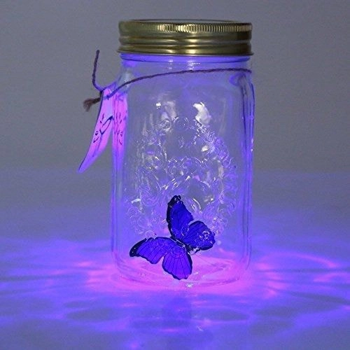 Butterfly in a jar