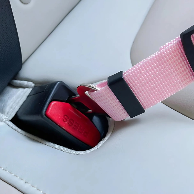 поводок в машину