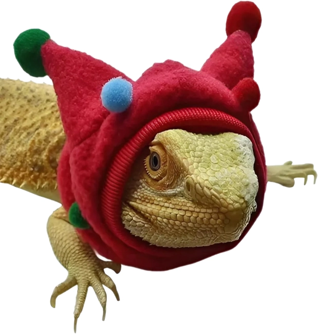 шапка ящірці