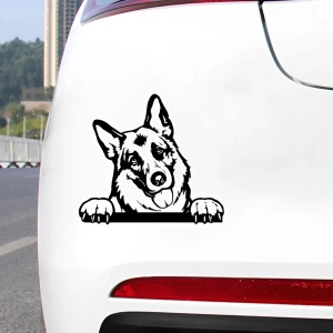 автомобільна наклейка на кузов