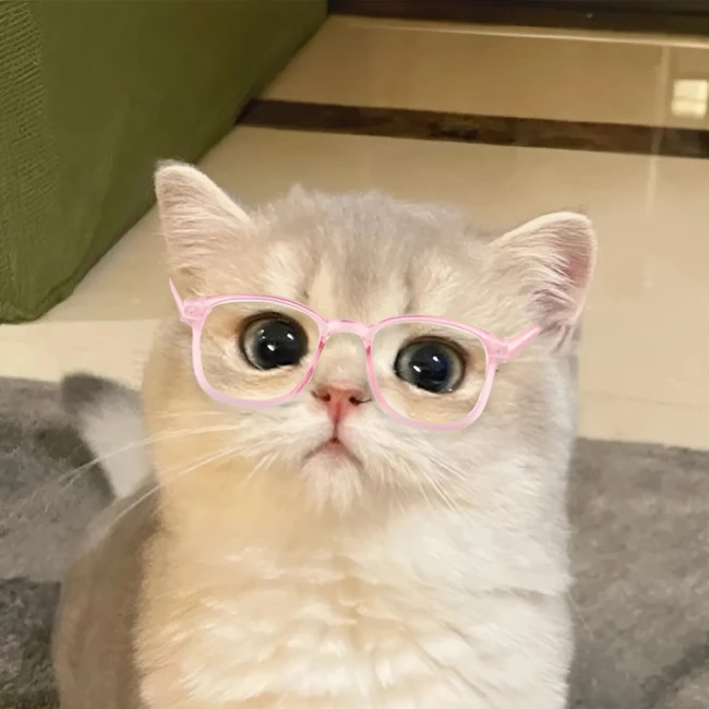 очки для котика
