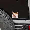 автомобильная наклейка для декора
