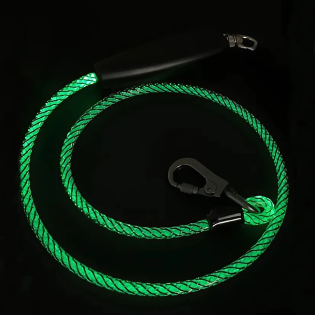 поводок для выгула