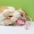 головний убір для кота