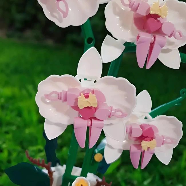 конструктор орхідея