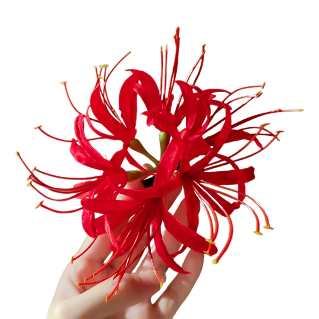 аксесуар для волосся