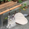 костюм для домашних животных