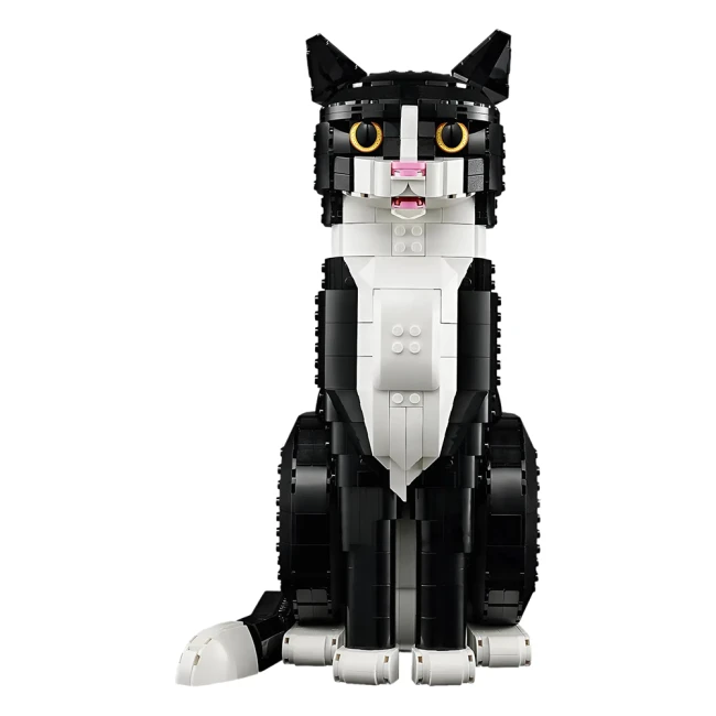 конструктор кіт