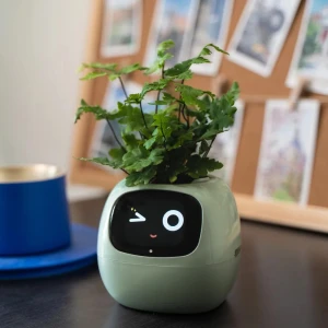 горшок с автополивом