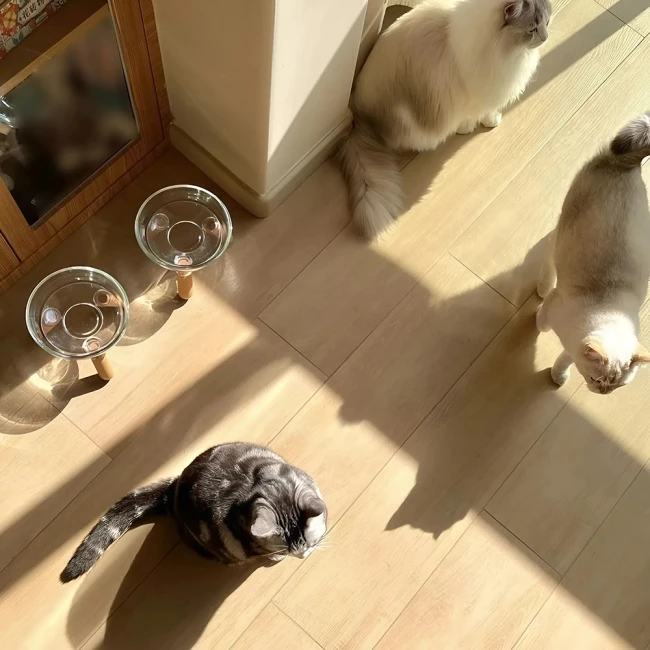 миска на ножках