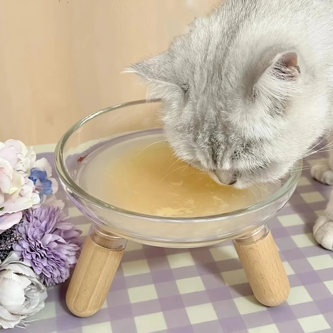 кошачья миска