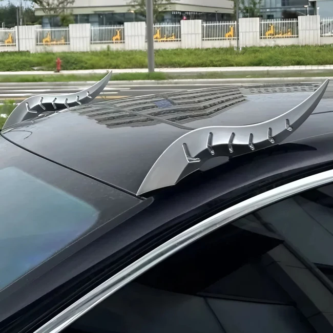 роги на дах машини