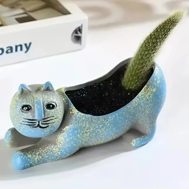 кашпо для сукулентів і кактусів