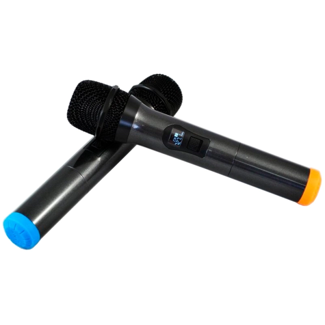 радиосистема для караоке