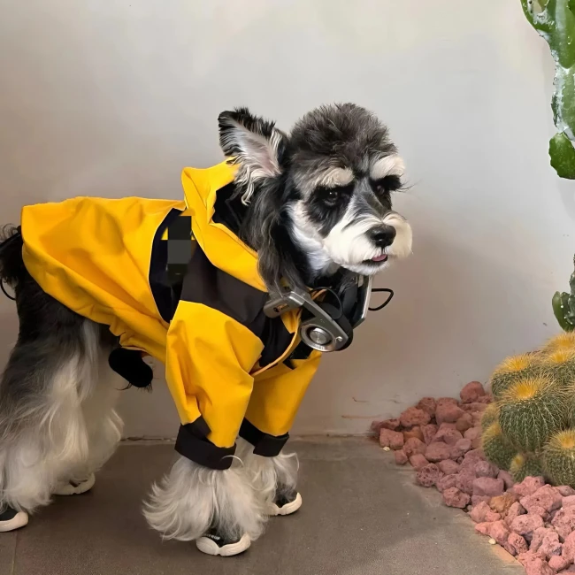 куртка с капюшоном для собак