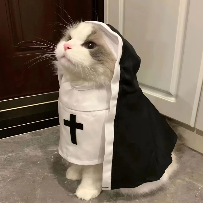 вбрання для кота