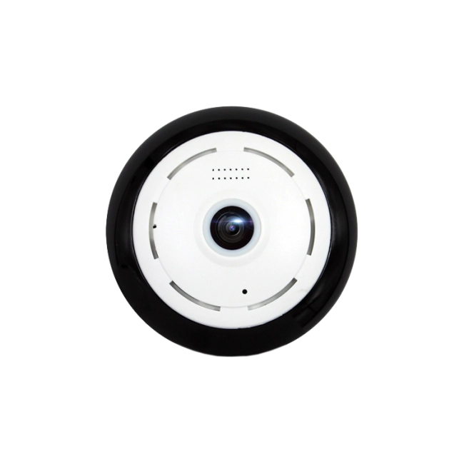 IP камера рыбий глаз