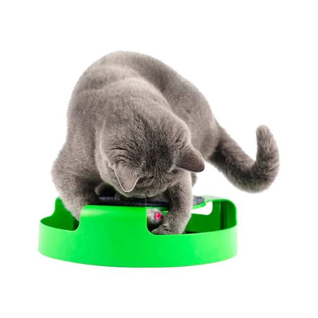 поймай мышь игра