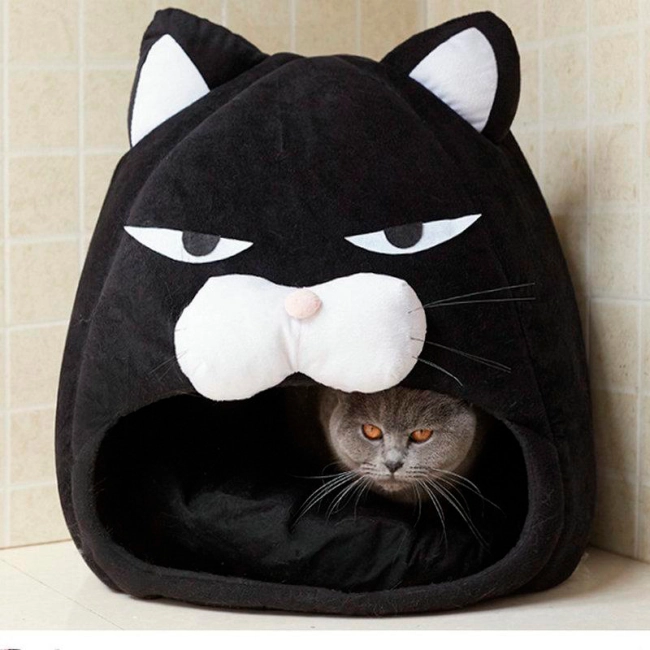 кошачий домик