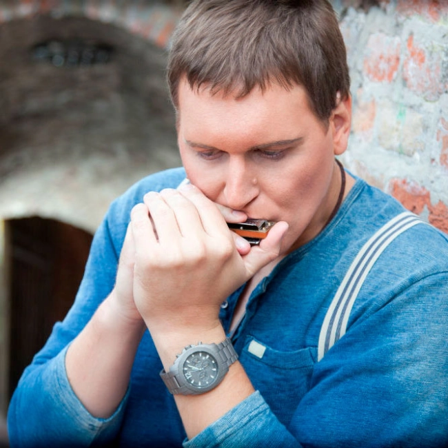 губна гармошка blues harmonica