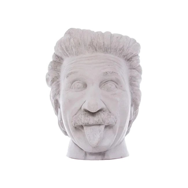 кашпо ейнштейн