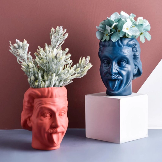 вазон ейнштейна