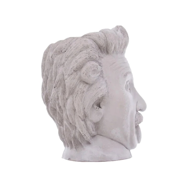 кашпо голова ейнштейна