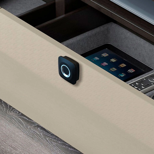 замок для шафки з відбитком пальця