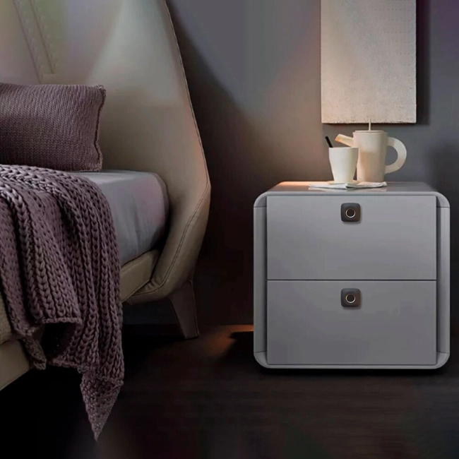 біометричний замок для скриньки