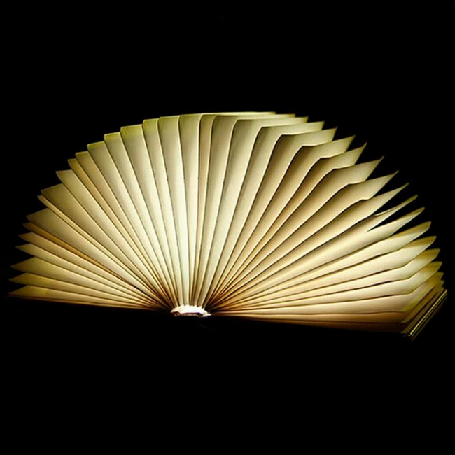 купити книгу світильник