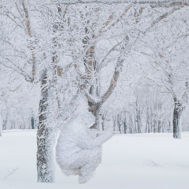 костюм зимовий білий для маскування