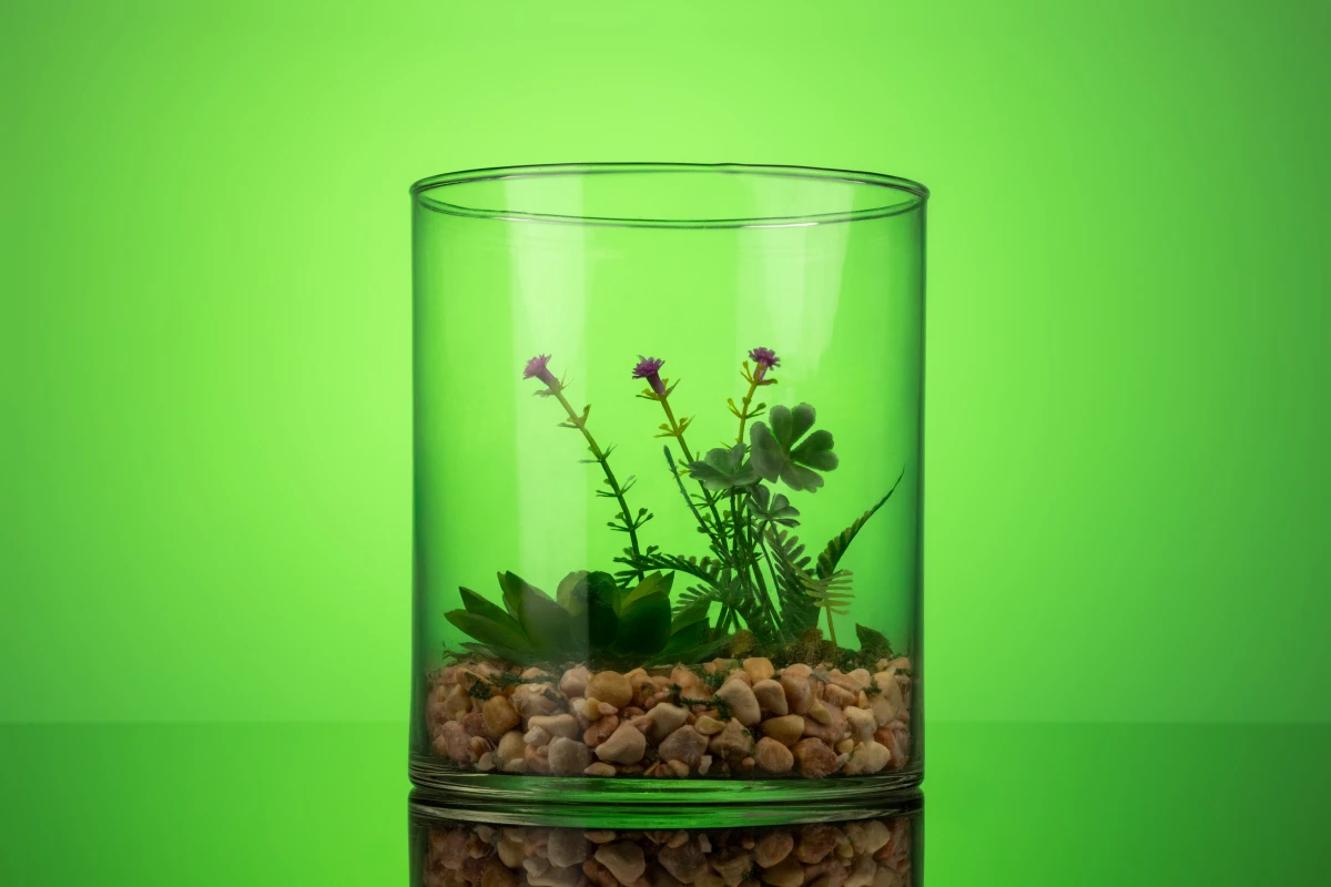 Флораріум з сукулентом для дому