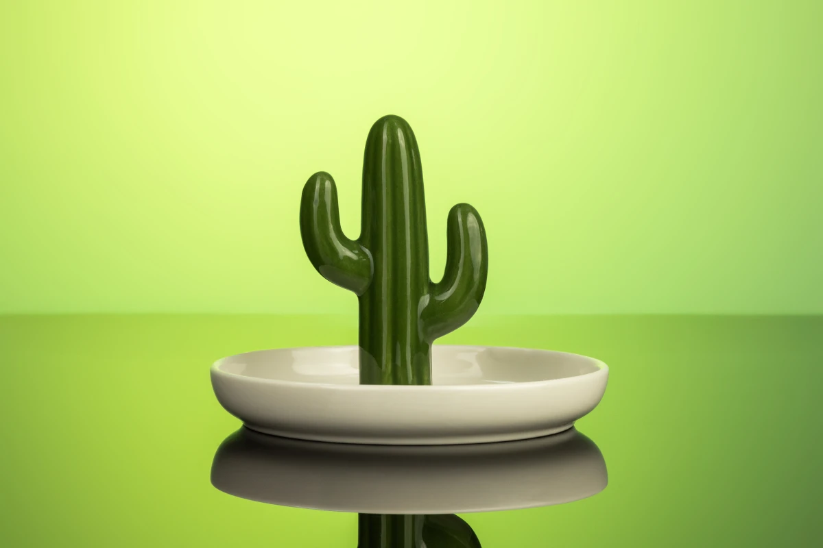 Подставка для украшений в виде кактуса